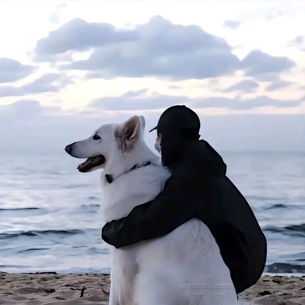 被美食耽误的网不红🔥