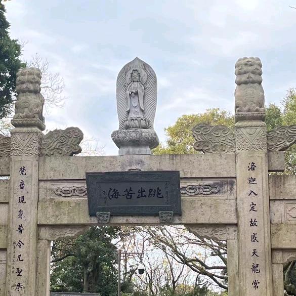 心静如水🚬