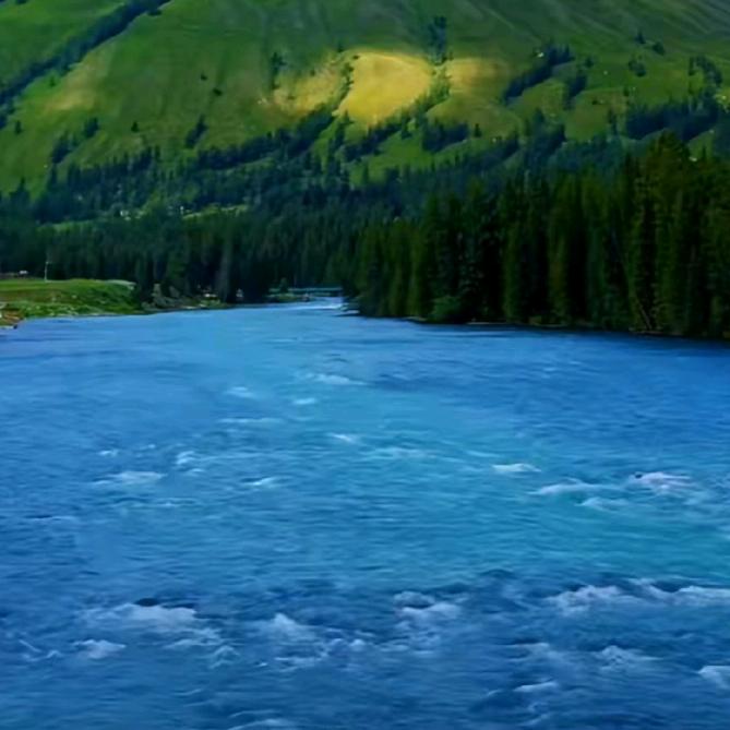 吹吹人间发财风