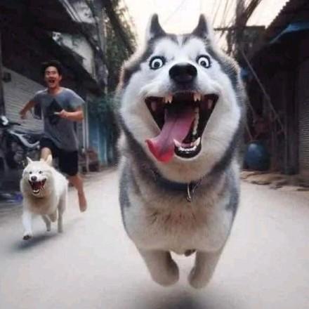 醉卧沙场君莫笑头像