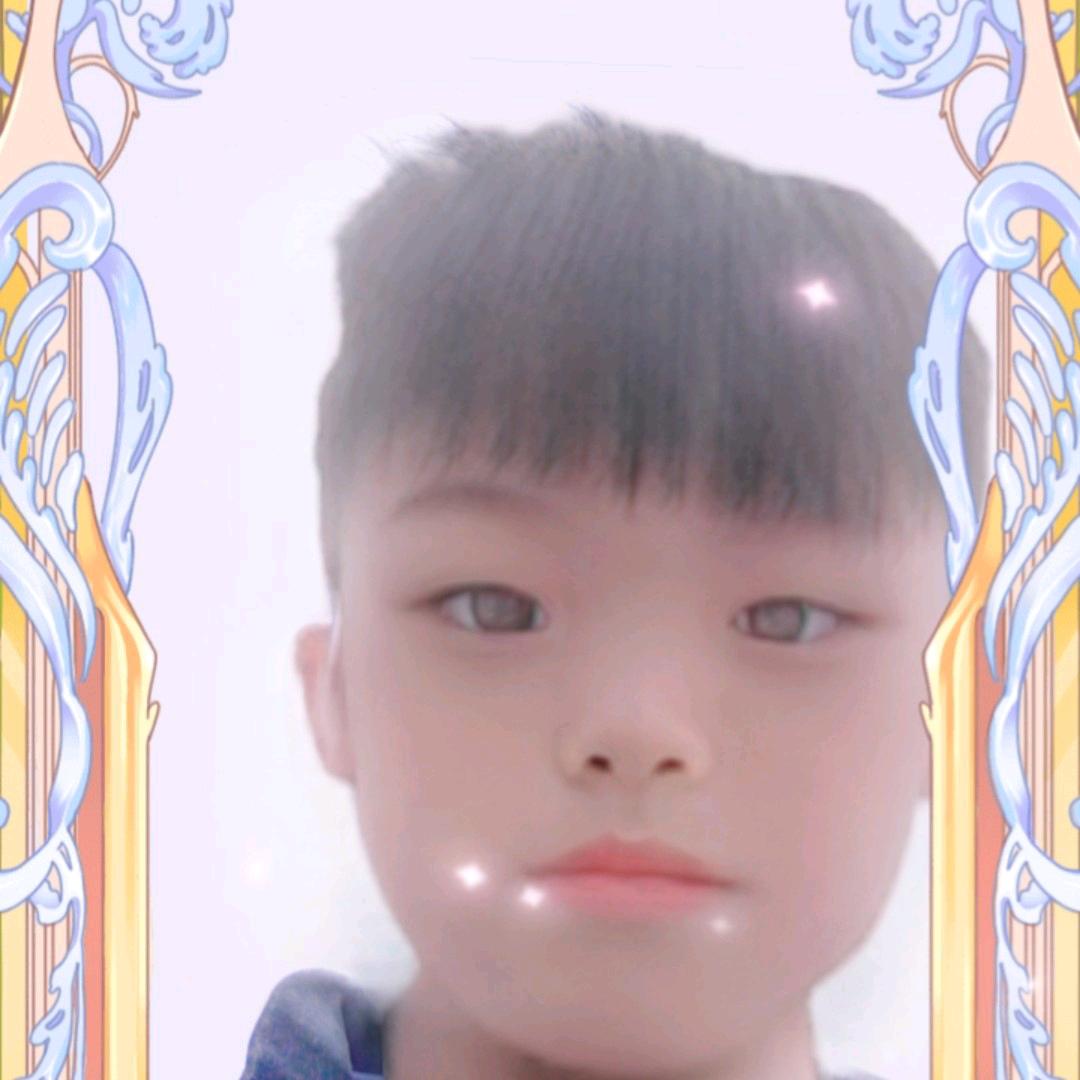 龙龙都看到