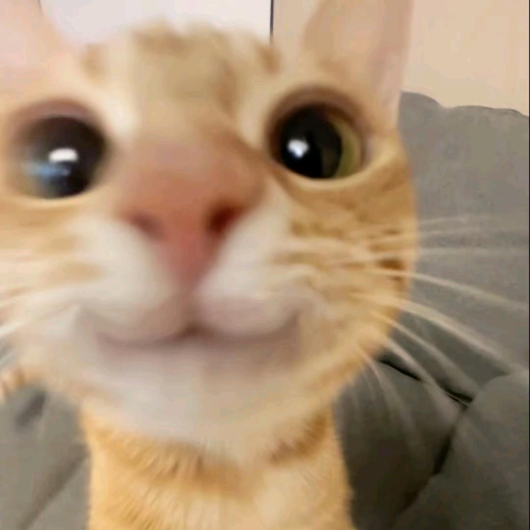 噼里啪啦稀里哗啦