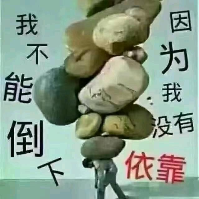 余生✨安好✨