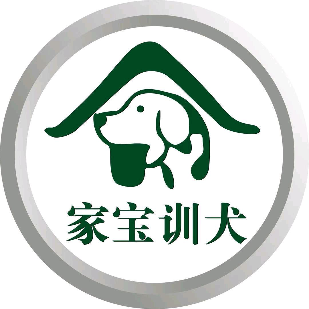 南京家宝训犬米饭老师