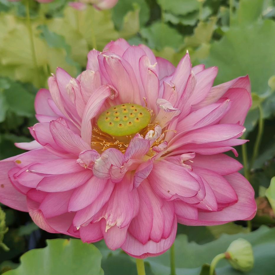 闺蜜穿搭馆