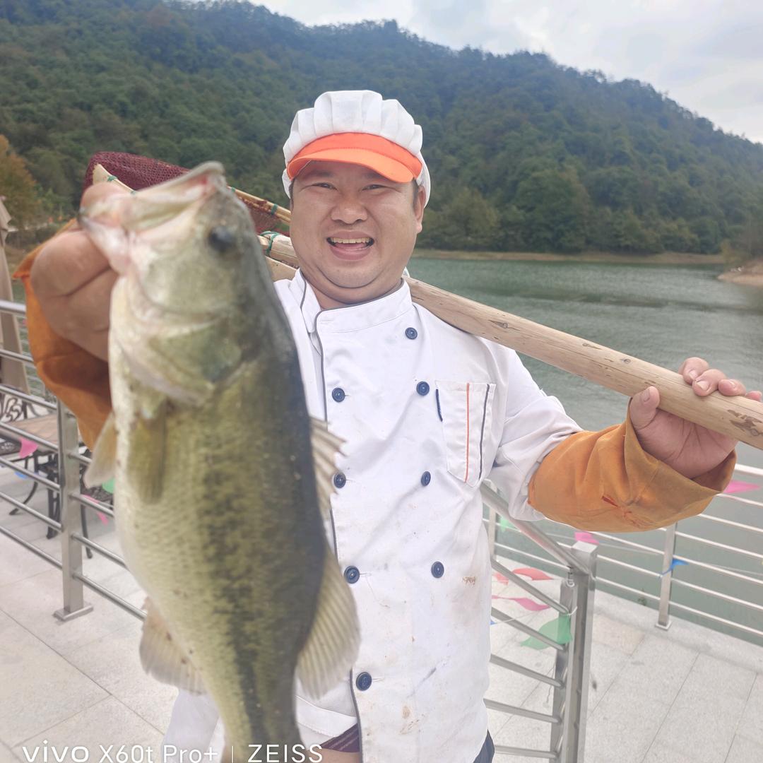 小鱼杀手