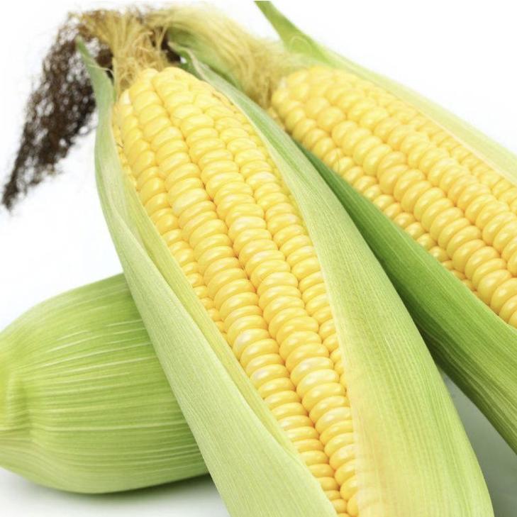 🌽