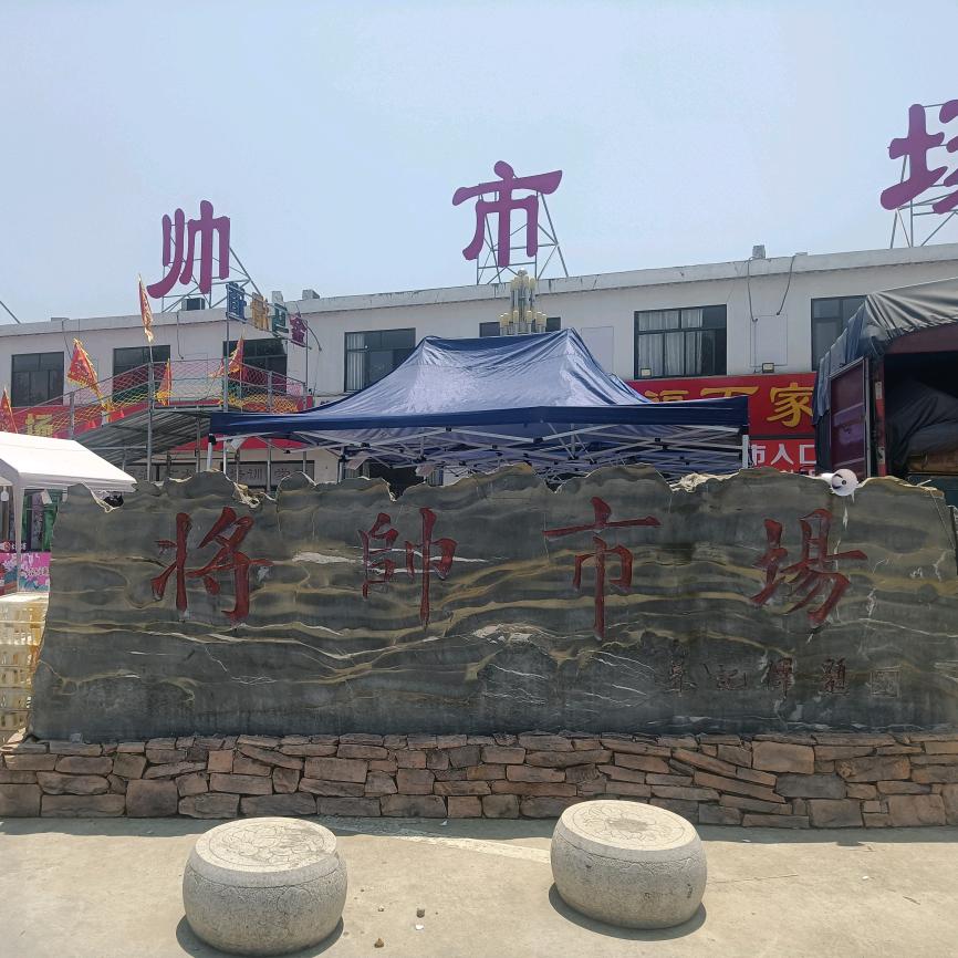将帅市场