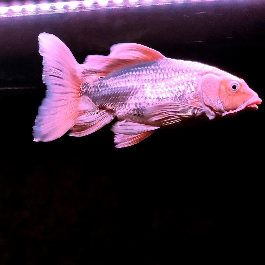 坚持一个中国原则🇨🇳