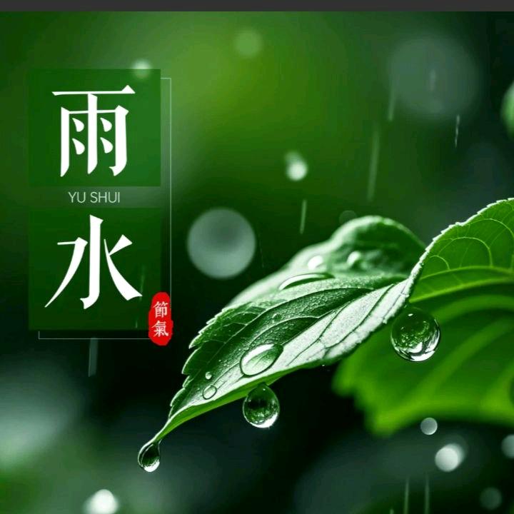 谢连青