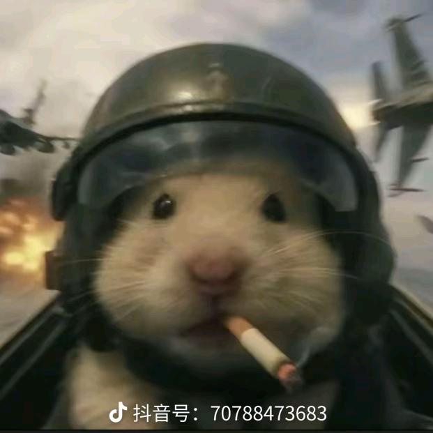 强风吹拂(增肌中)