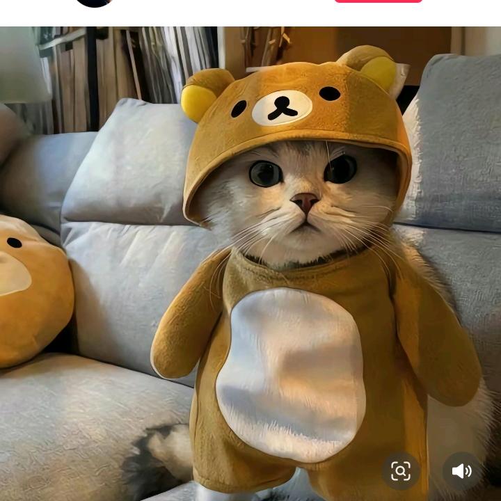 我梦想