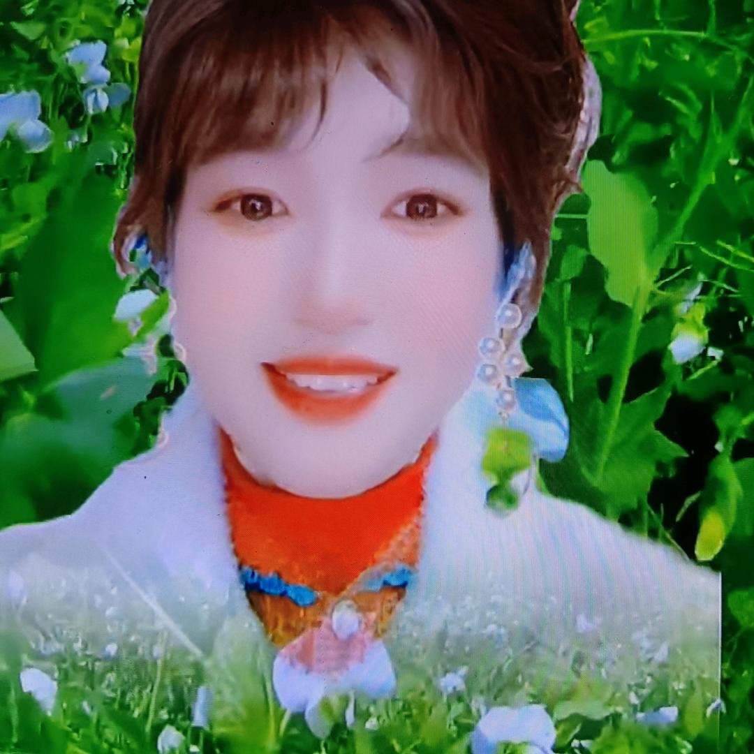 何时花9