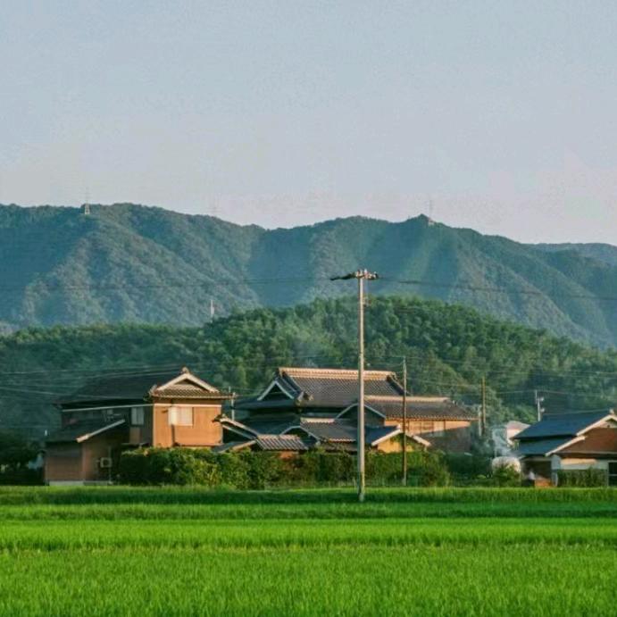 三孩爱生活