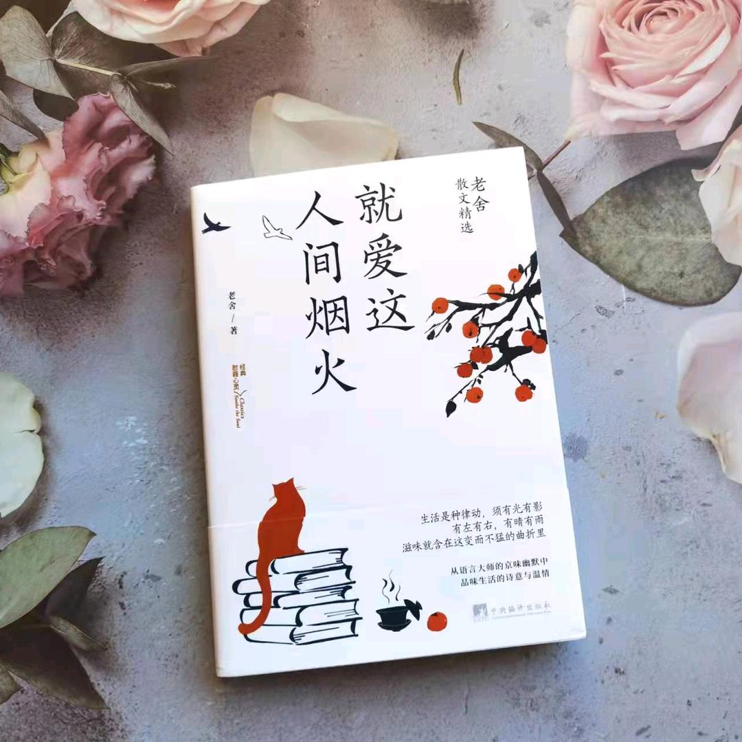 仍爱这人间烟火