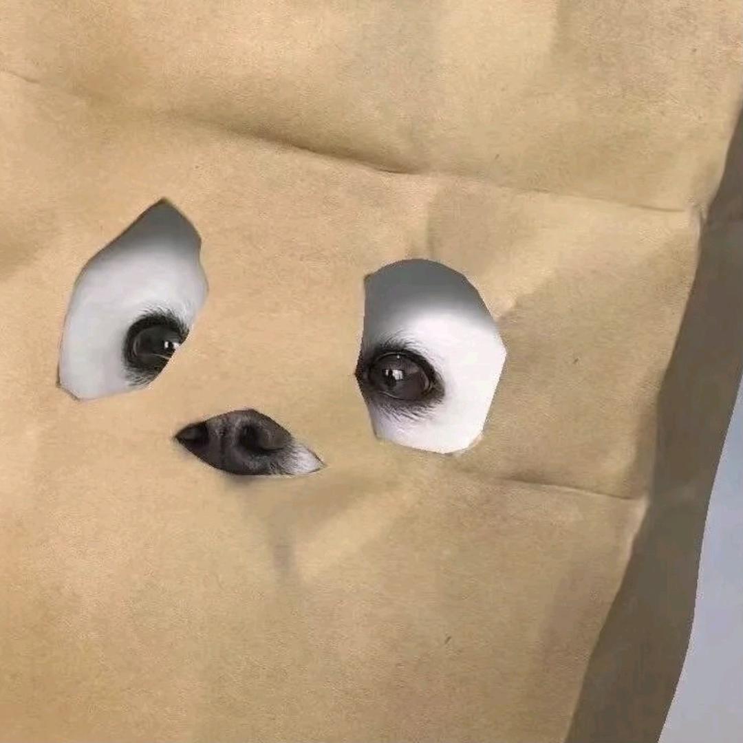 不睡了