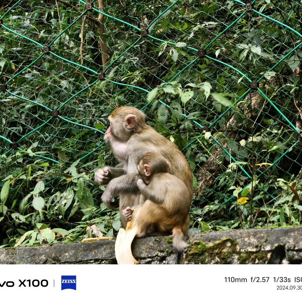 小汤圆成长日记story