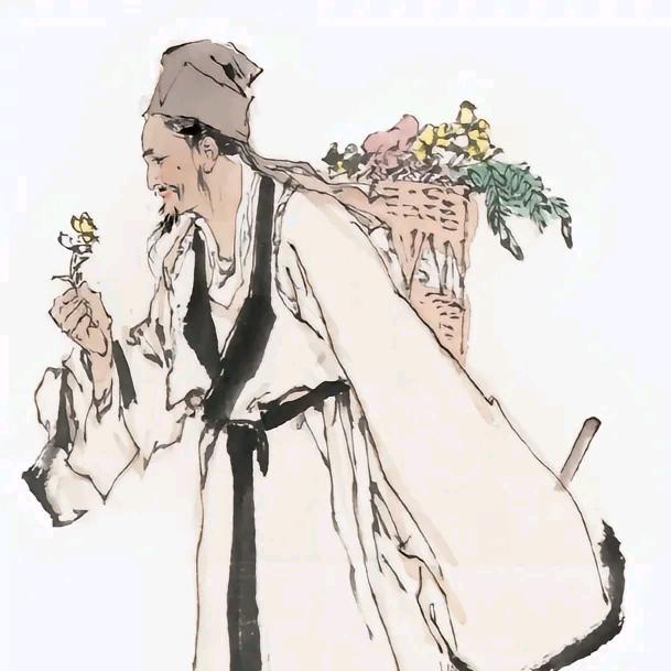本 草