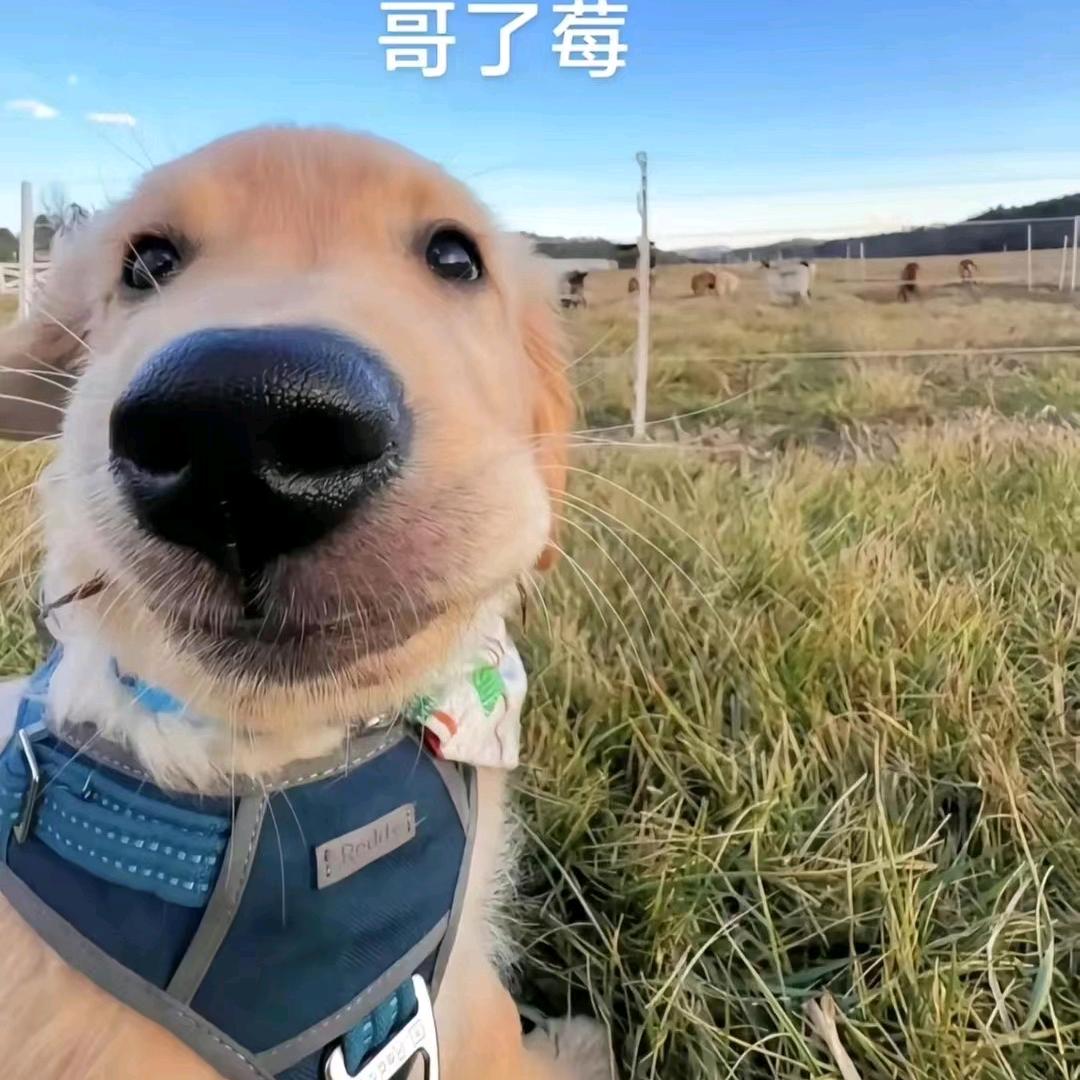 关忆北