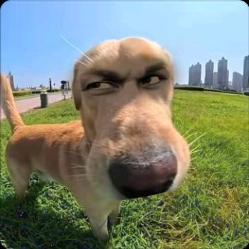 哈基硕