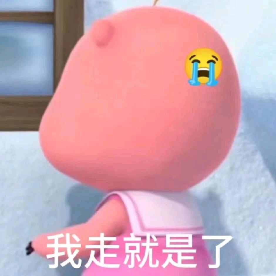 贝微微