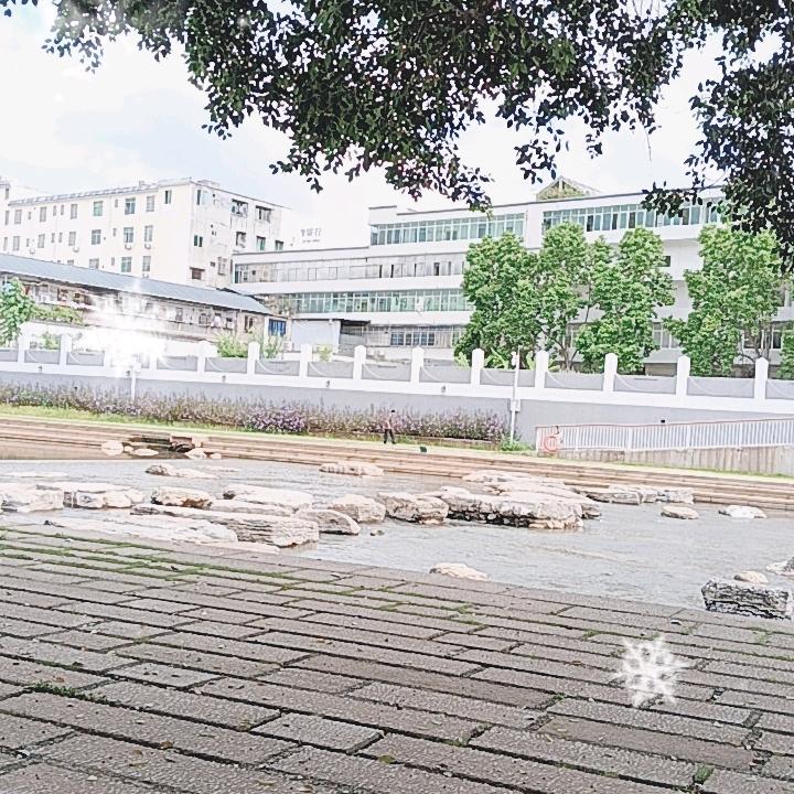 姐姐