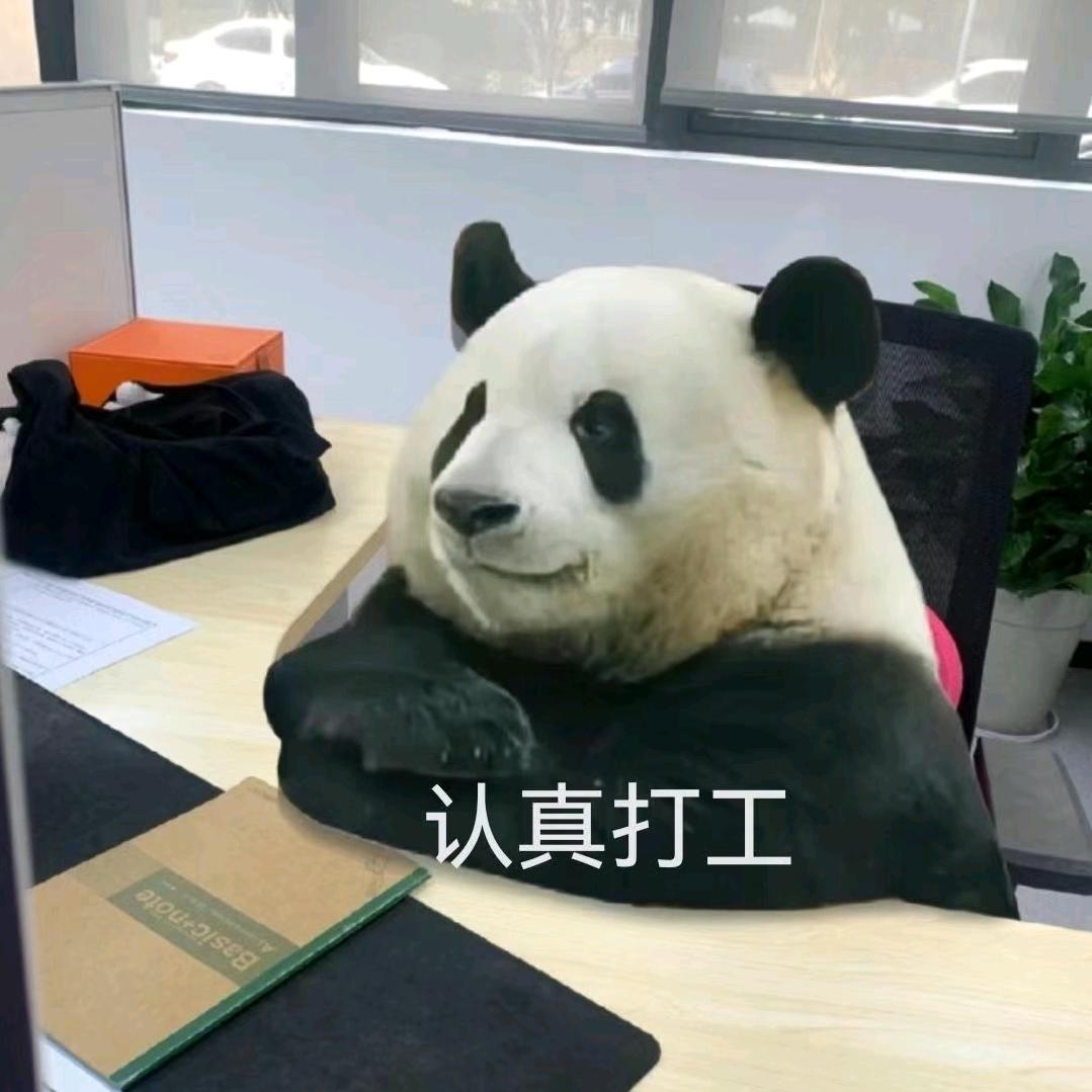 认真打工的熊猫