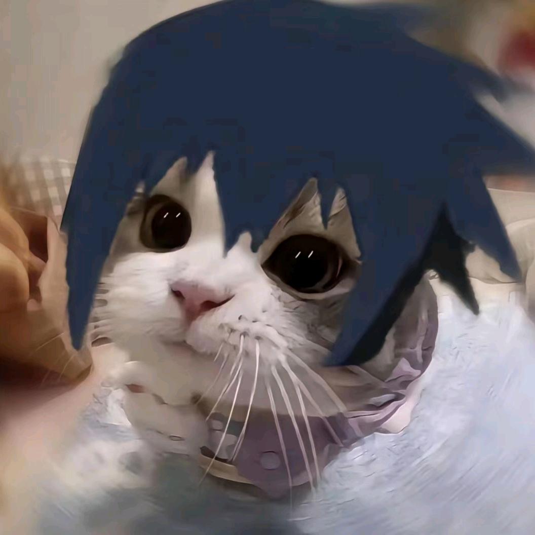 火影大猫老弟『百战』老师