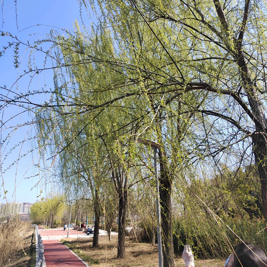@李老师