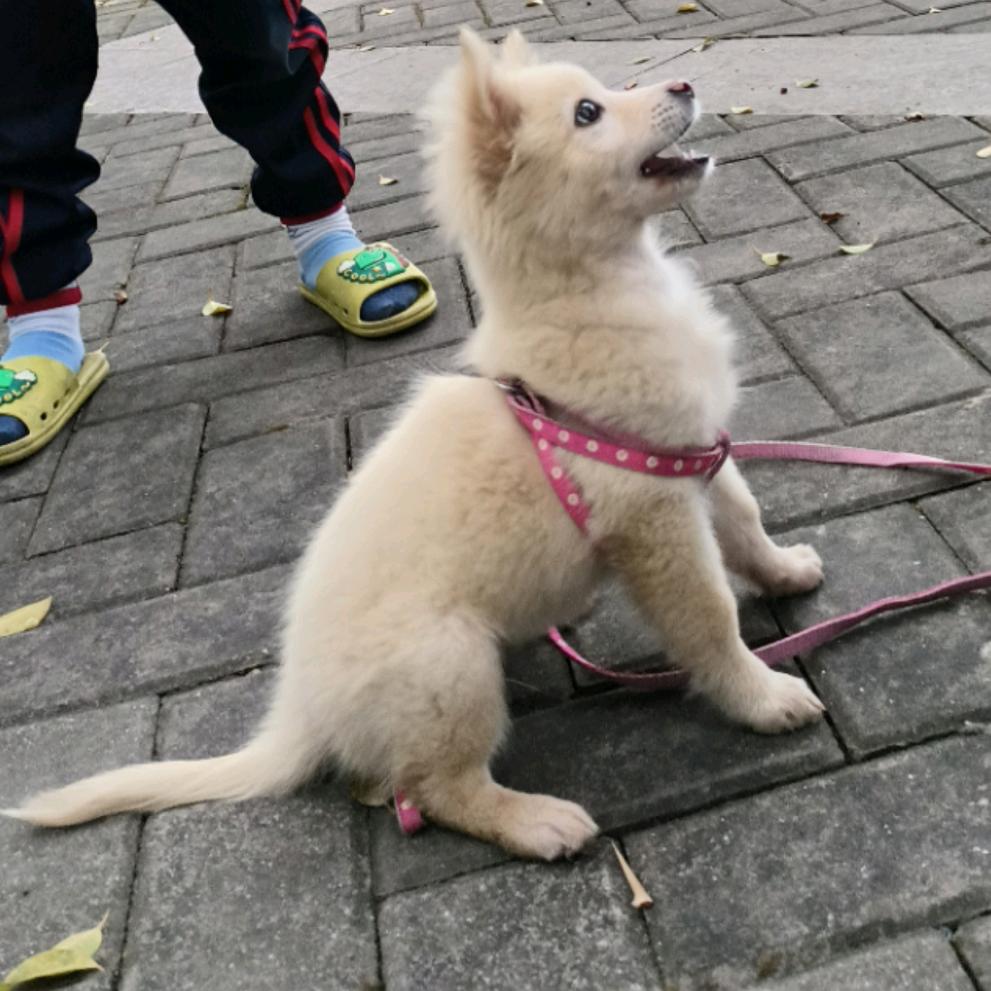 一杯闲时