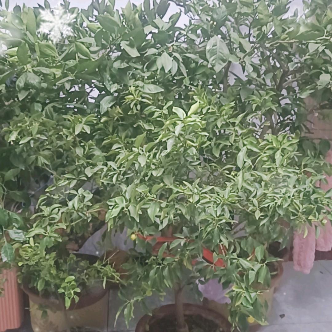 光阴似箭，日月如梭