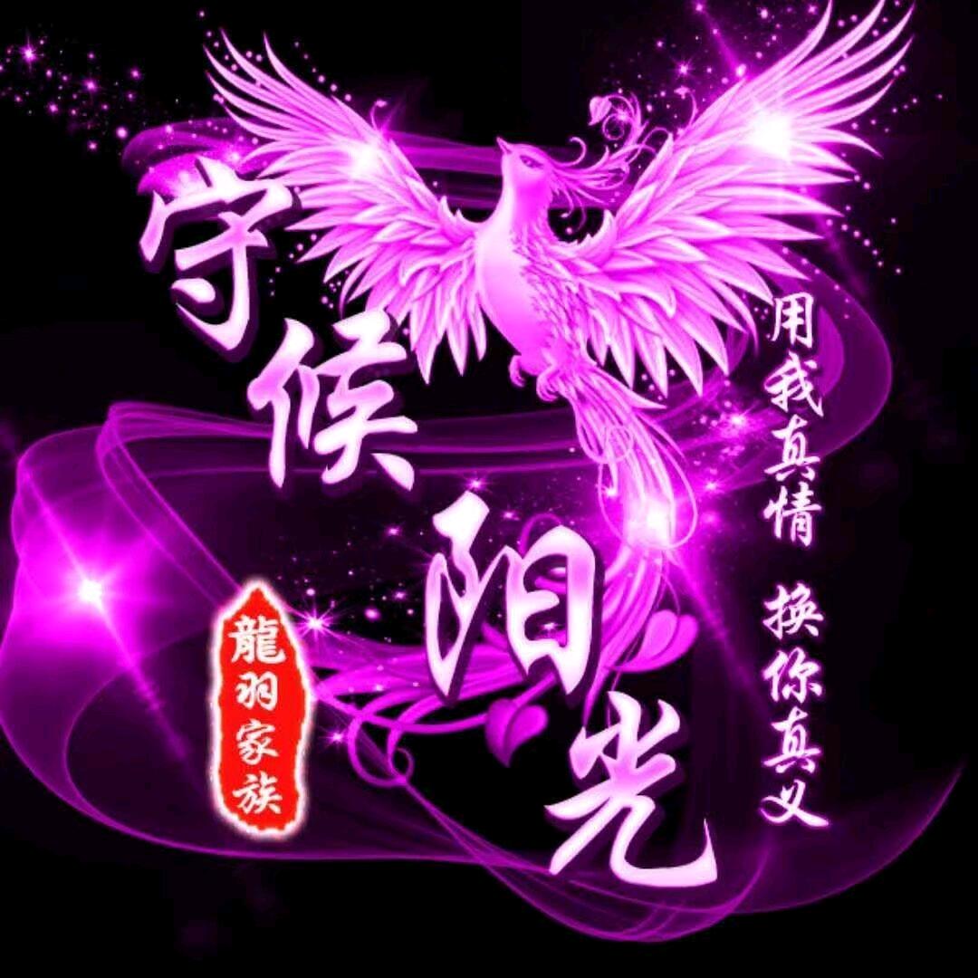 守候阳光
