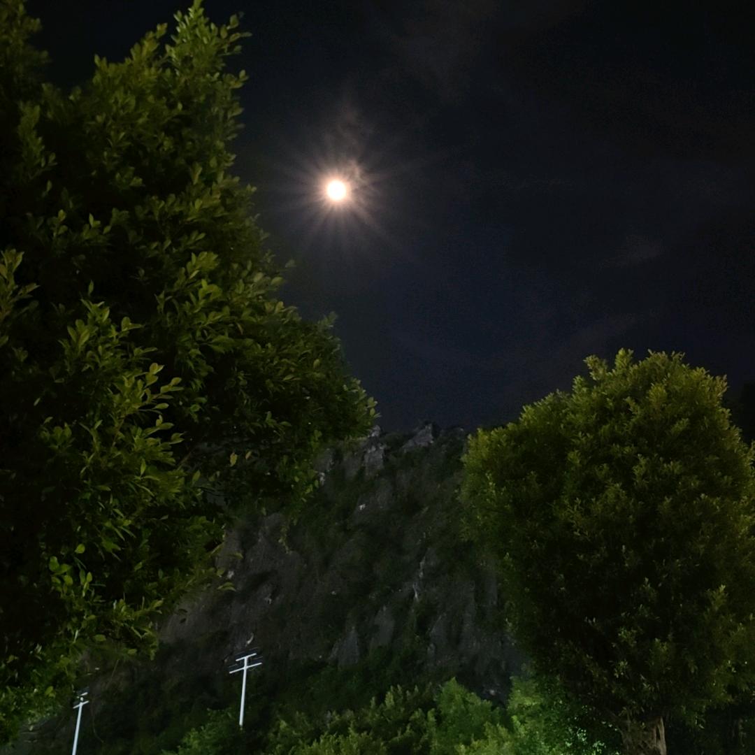 寒夜