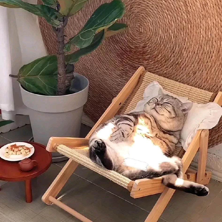 小新の冬天