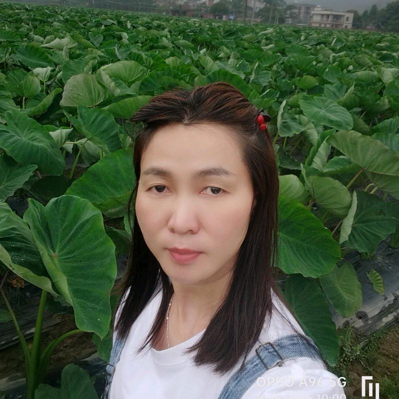 晟禾霖农资批发（中垌靖妹）