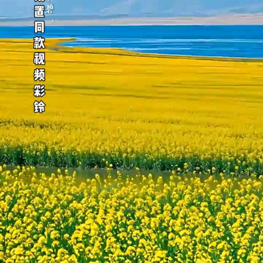 觉学