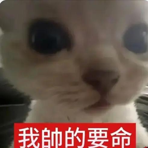 王十三郎🌈