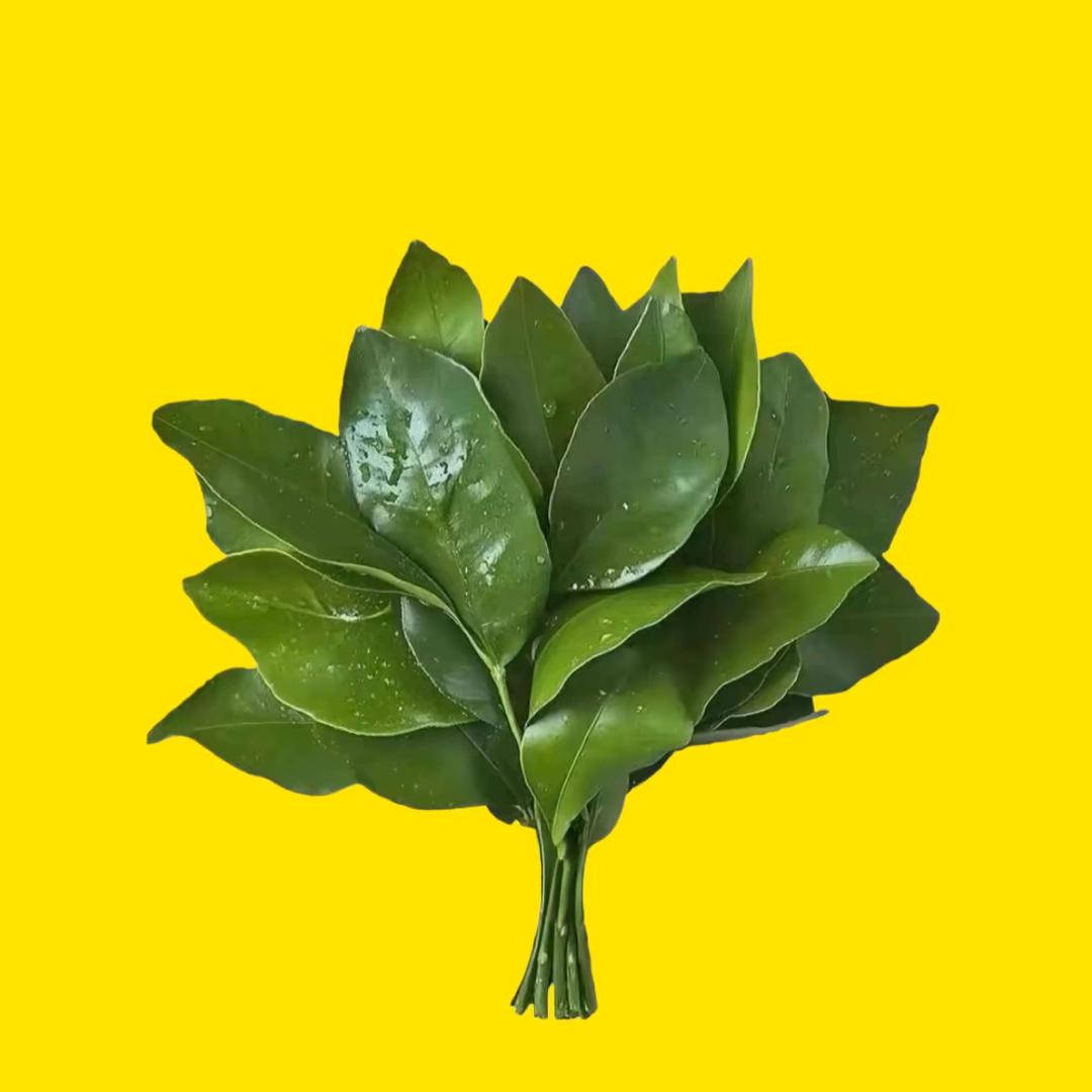 梨涡远点🥱
