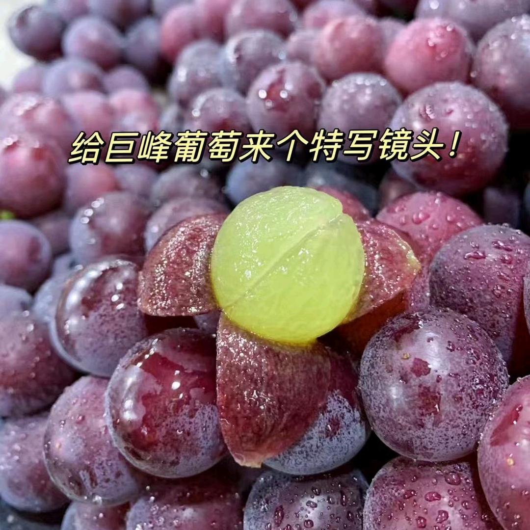 果之源生态葡萄家庭农场官方号