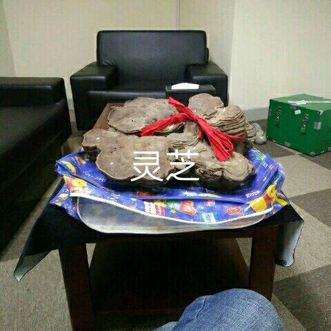 老张药材729693