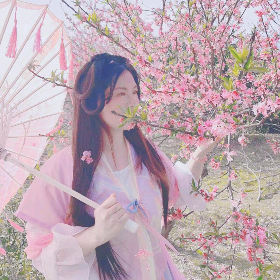 凤儿🌸