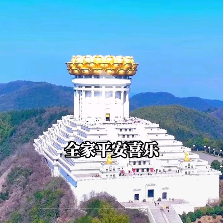 顺顺顺妙莲心
