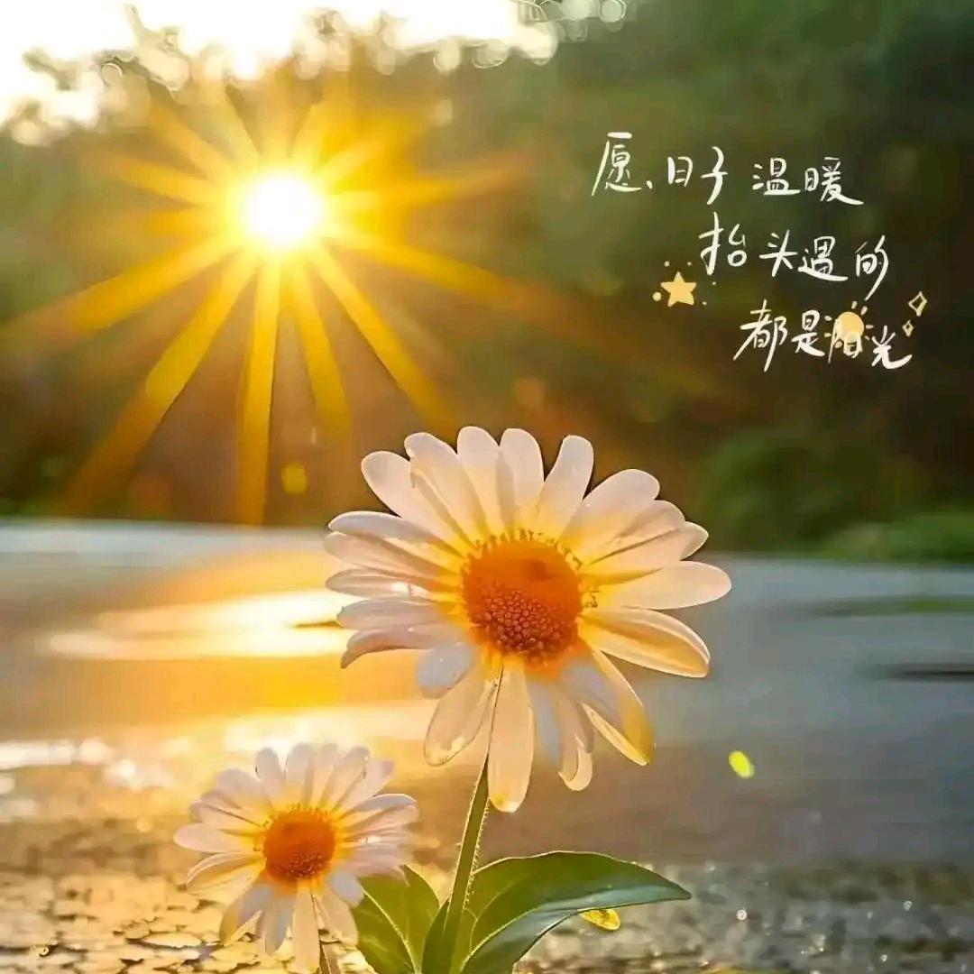用户@741852963
