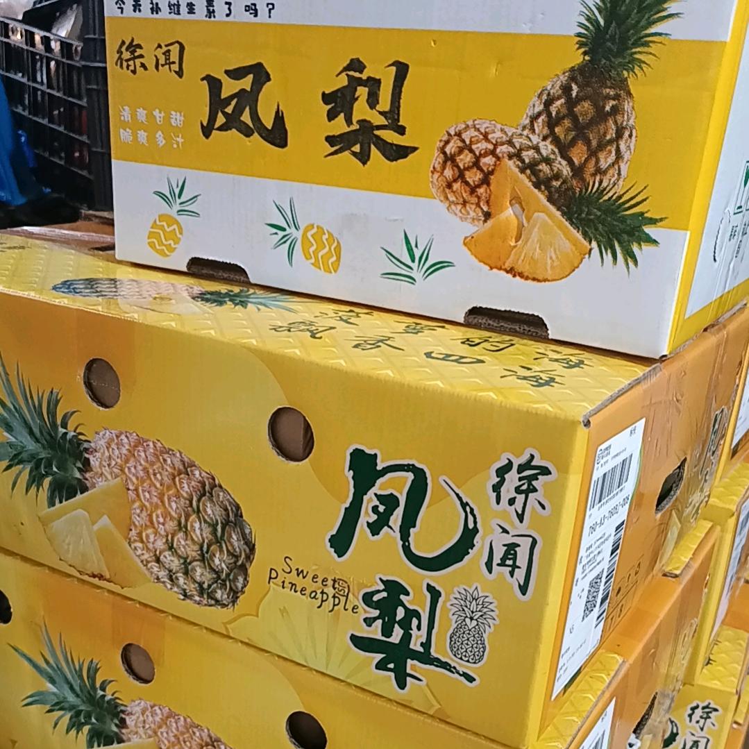 徐闻凤梨