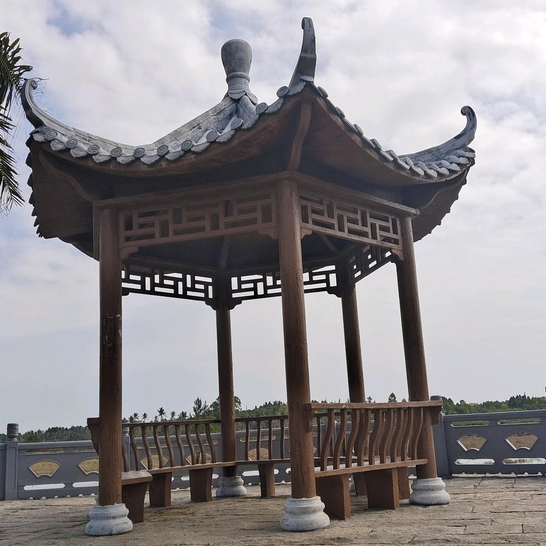 黑想回