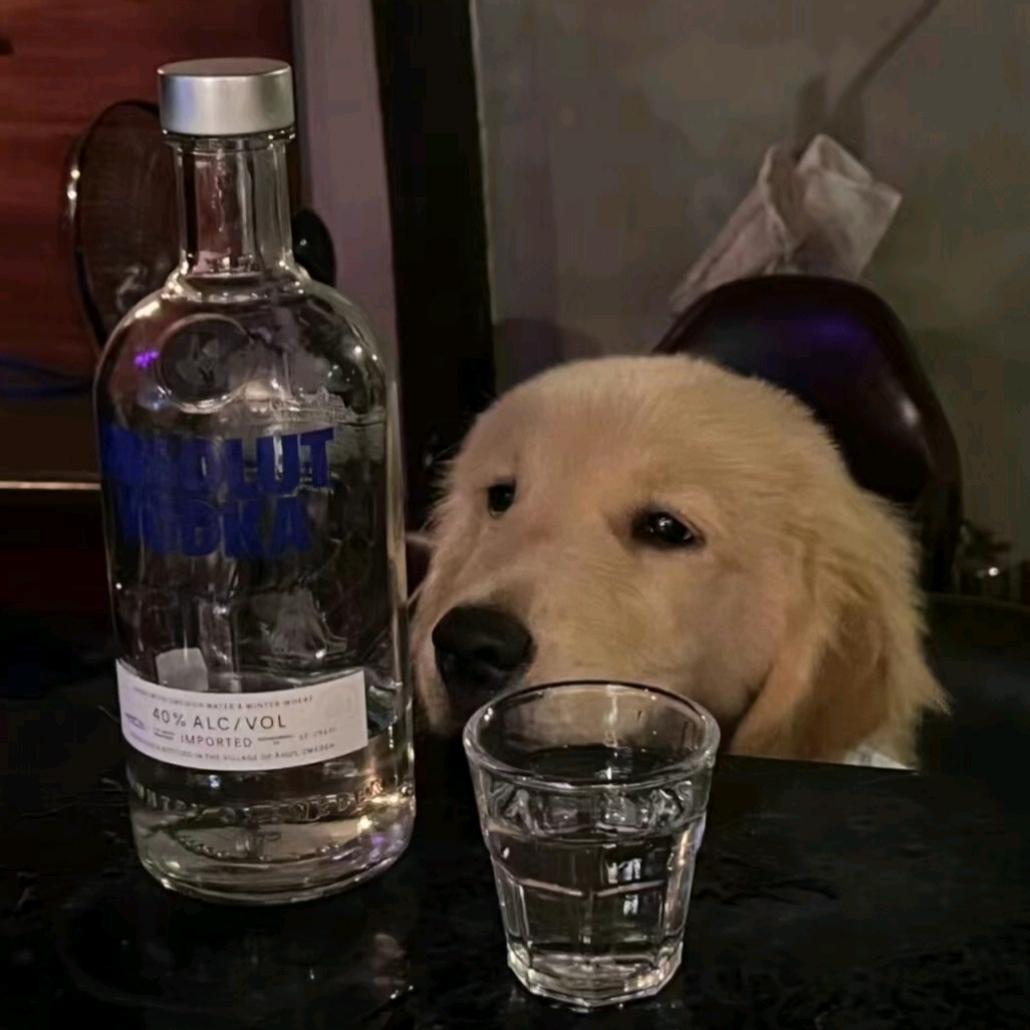 S 、