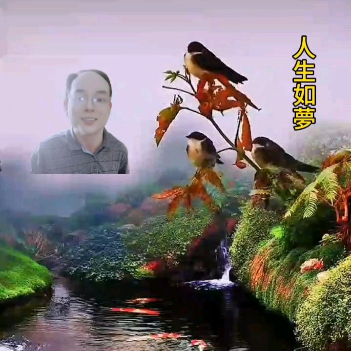 人生如夢《美食甄选阁》有访必回👨‍