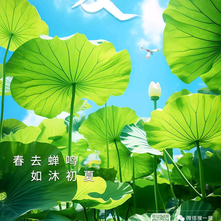 开心最重要