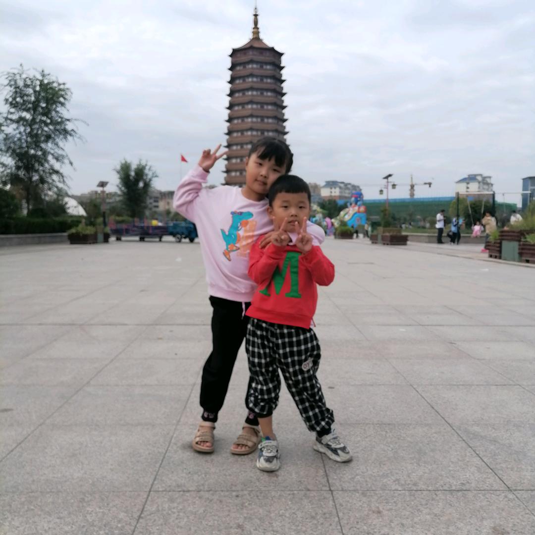 一朵金🌸一颗草