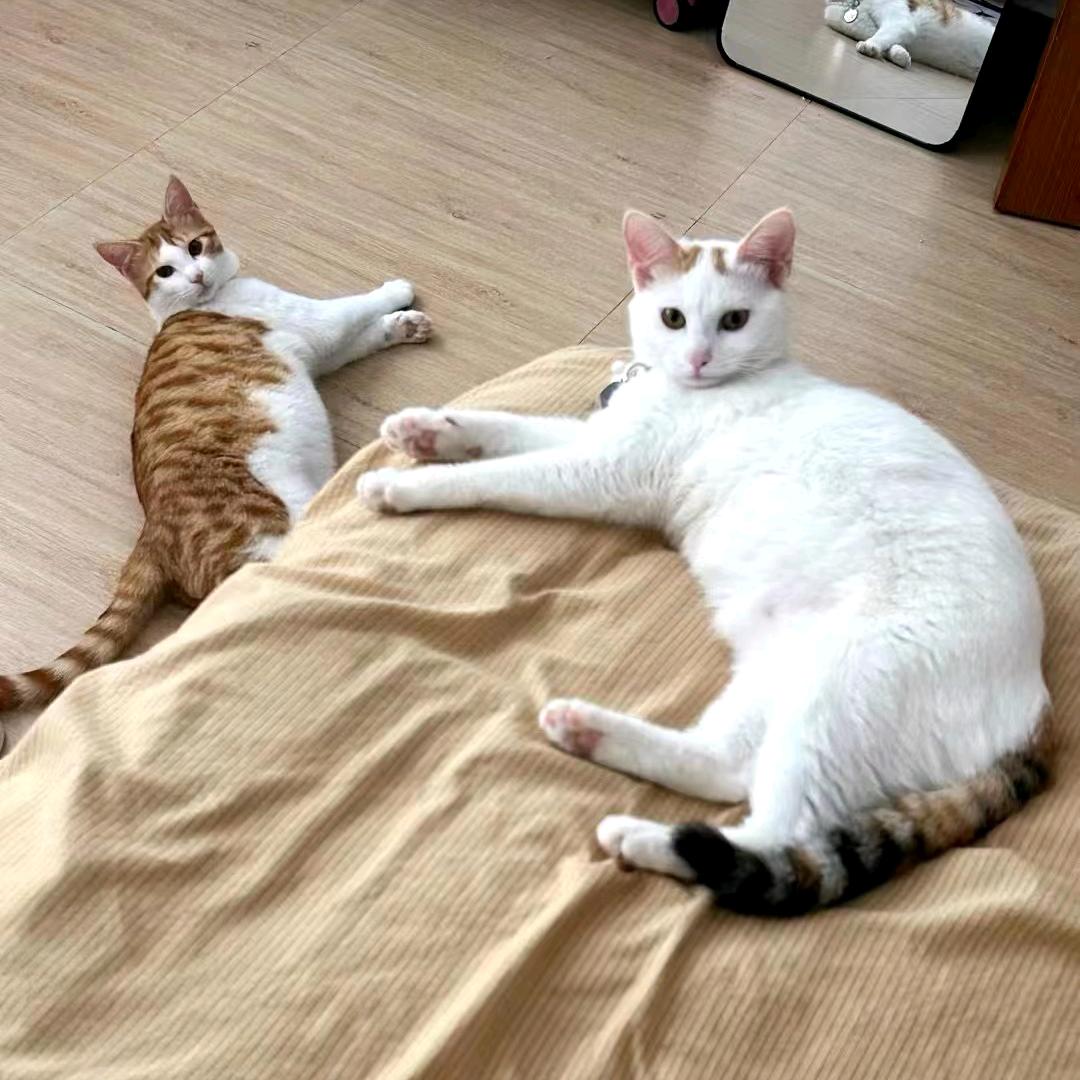 清风小筑😜